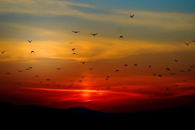 Read more about the article 8 Stunning Sunset Photo Editing Techniques for Perfect Shots