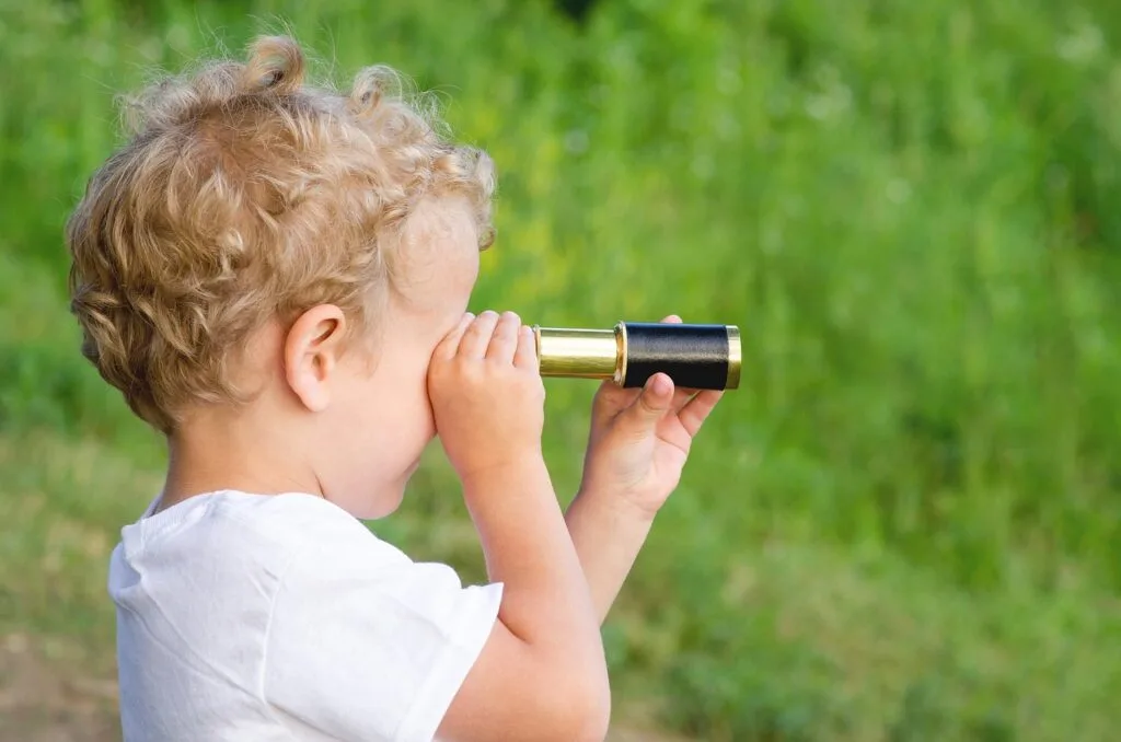 DIY telescope projects