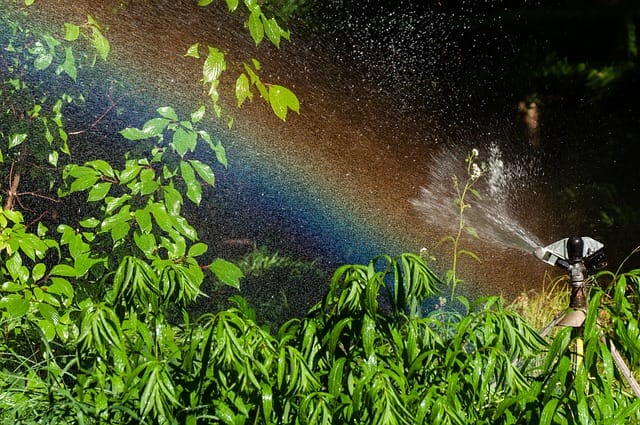 You are currently viewing Creating a DIY Smart Garden with Automated Watering